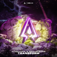 Transform (Single)