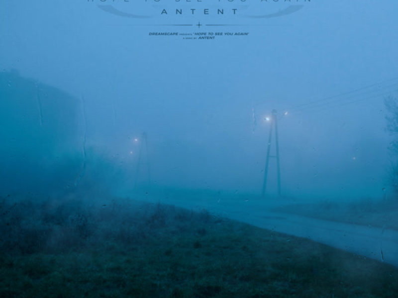 hope to see you again (Remixes) (Single)