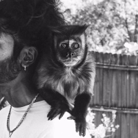 A.M. FETA MEANS (Single)