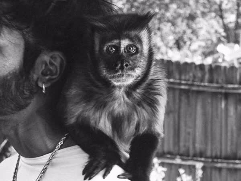 A.M. FETA MEANS (Single)