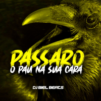 PASSARO O PAU NA SUA CARA (Single)