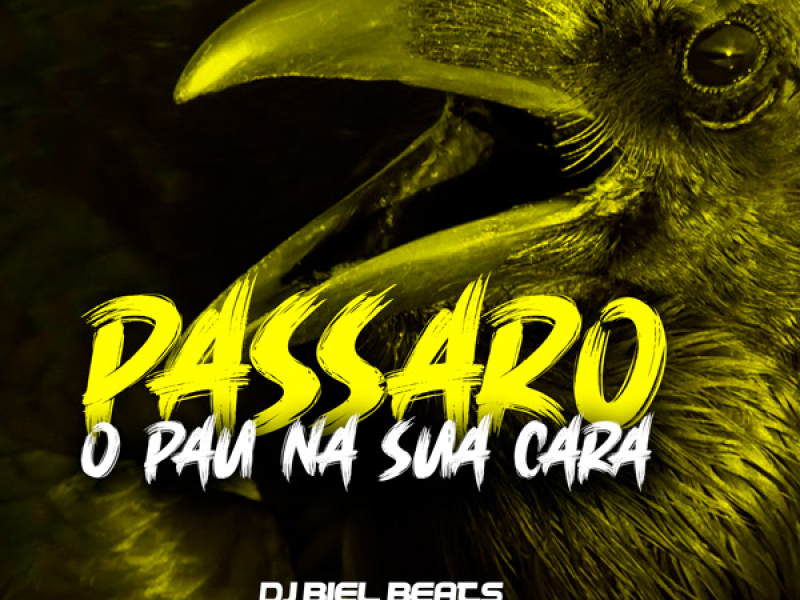 PASSARO O PAU NA SUA CARA (Single)