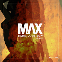 Lights Down Low (Riddler Remix) (Single)