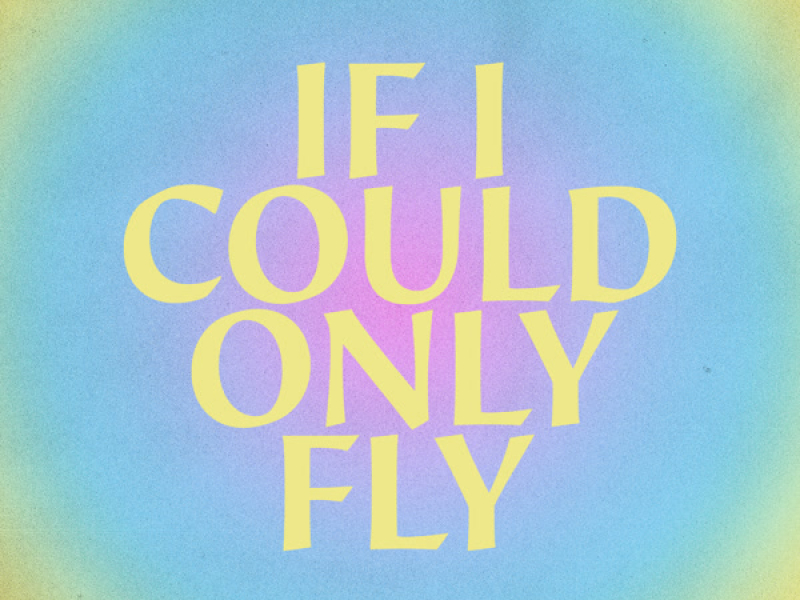 If I Could Only Fly (Single)