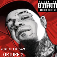 Torture 2 (feat. BigSam) (Single)