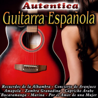 Autentica Guitarra Espanõla