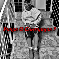 Puros O Contrarios (Single)