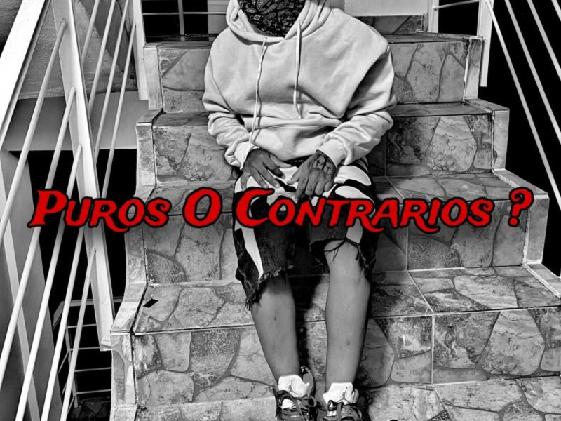 Puros O Contrarios (Single)