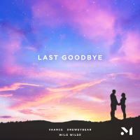 Last Goodbye (Single)
