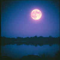 Hai Ma Ta Sha (Single)