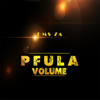 Pfula Volume (feat. Amu, Dala, Queen B, Fox de president  & Mostly b) (Single)