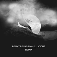 Wild Like The Wind (Benny Benassi & DJ Licious Remix) (Single)