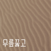 무릎꿇고 (Single)