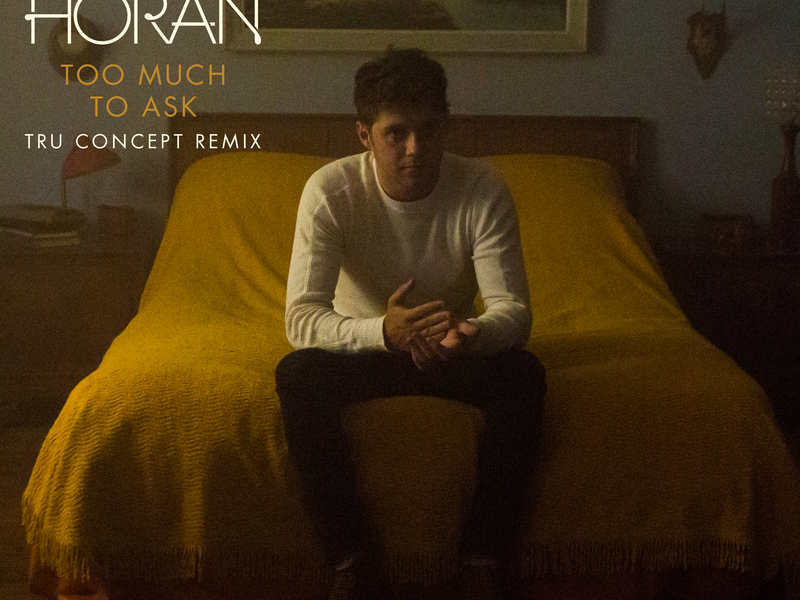 Too Much To Ask (TRU Concept Remix) (Single)