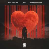 All The Things She Said (Techno Mix) (Single)