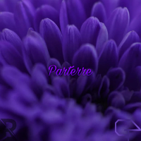 Parterre (Single)