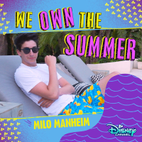We Own the Summer (Single)