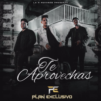 Te Aprovechas (Single)