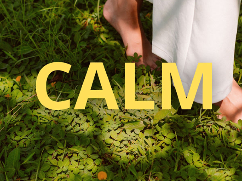 CALM (Single)