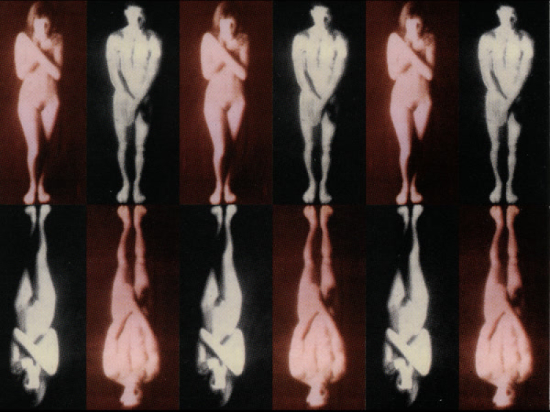 The Path Of Thorns (Single)