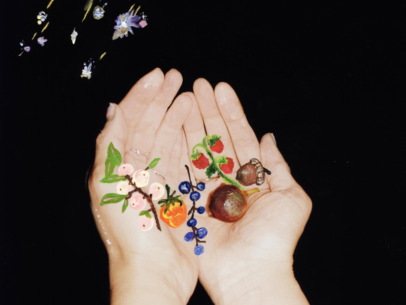 Fruits Night (Single)