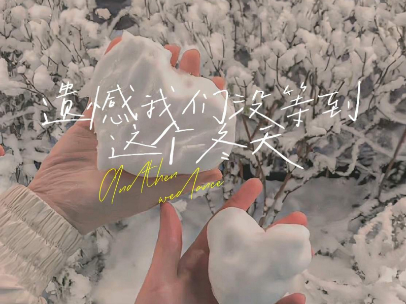 遗憾我们没等到这个冬天 (Single)