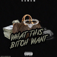 What This Bitch Want (Single)