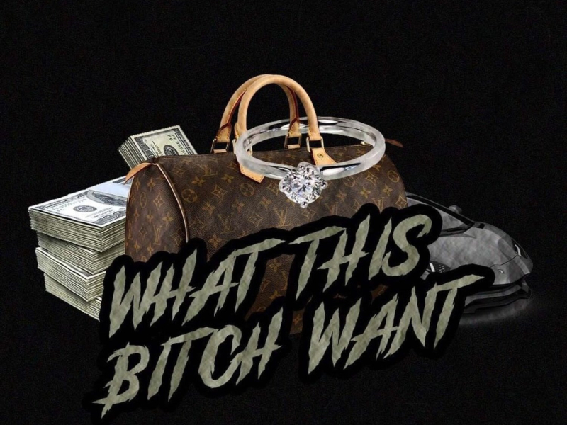 What This Bitch Want (Single)