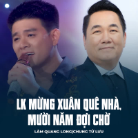 LK Mừng Xuân Quê Nhà, Mười Năm Đợi Chờ (Single)