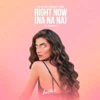 Right Now (Na Na Na) (Single)