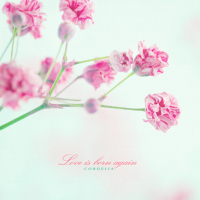 Love Is Born Again (Single)