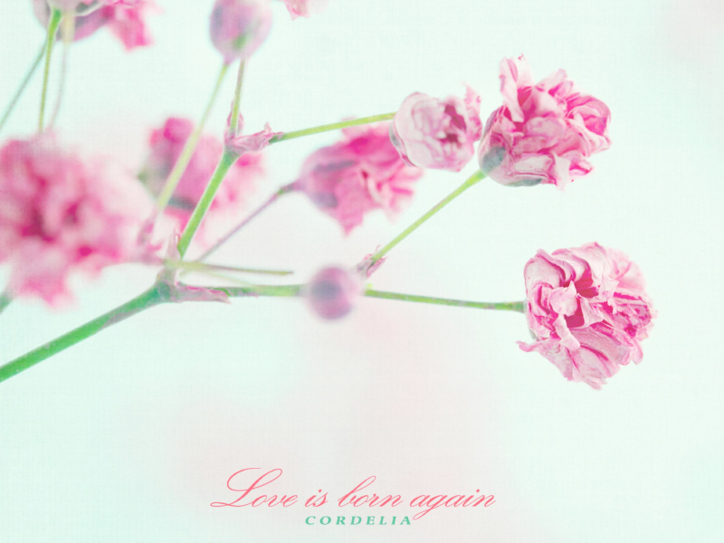 Love Is Born Again (Single)