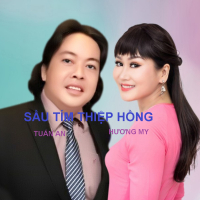 Sầu Tím Thiệp Hồng (Single)