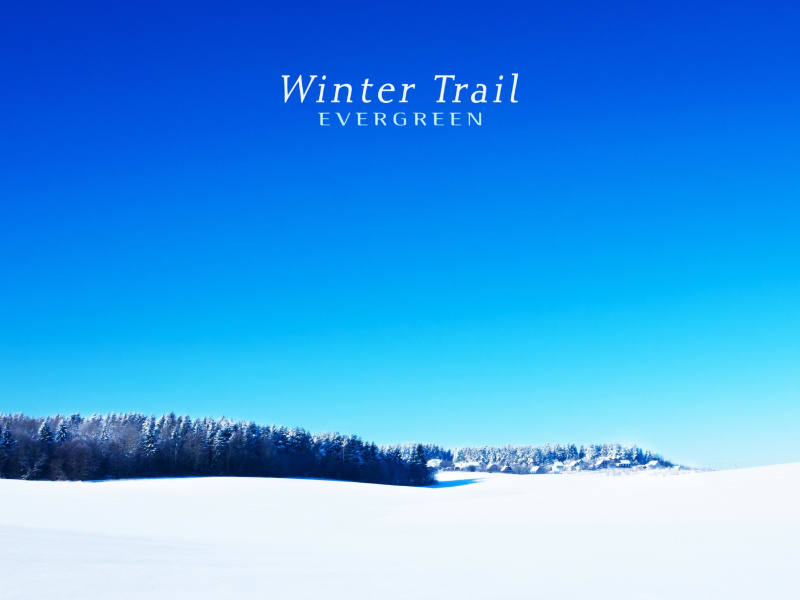Winter Trail (Single)