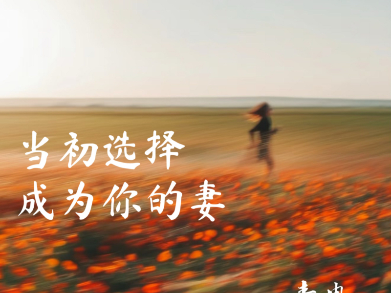 当初选择成为你的妻 (Single)
