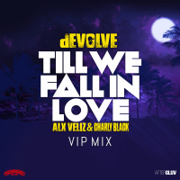 Till We Fall In Love (dEVOLVE VIP Mix) (Single)