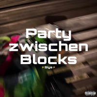 Party zwischen Blocks (Single)