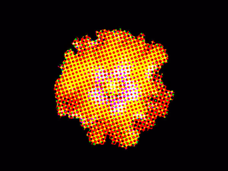 No Ves Tal Vez (Evlay Remix) (Single)