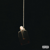 THE GOV'T GAVE US GUNS (Single)