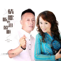 情歌听的泪盈眶 (DJ版) (Single)