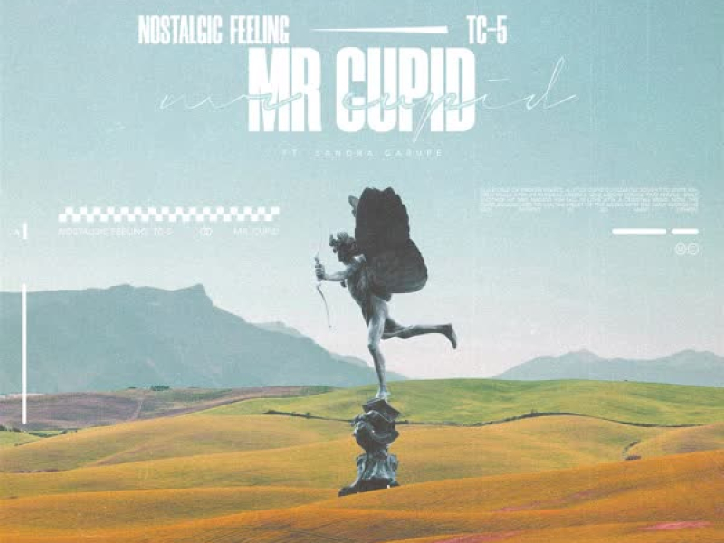 Mr. Cupid (feat. Sandra Garupe) (Single)