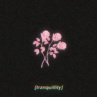 tranquillity (Single)