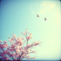 Sunlit Days (Single)