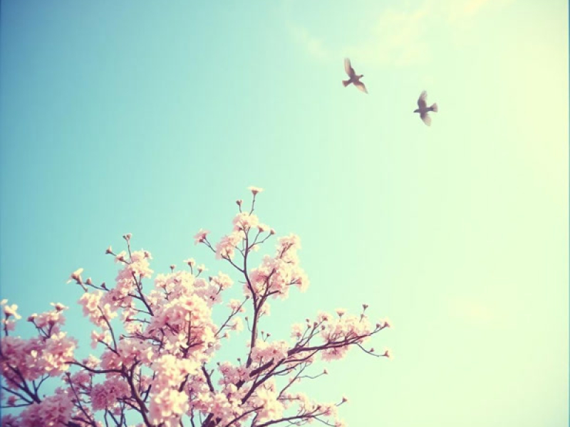 Sunlit Days (Single)