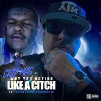 Why You Acting Like A Citch (feat. Indecent The Slapmaster) (Single)