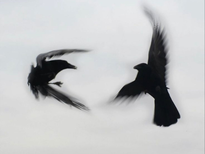 Up and Down (Single)