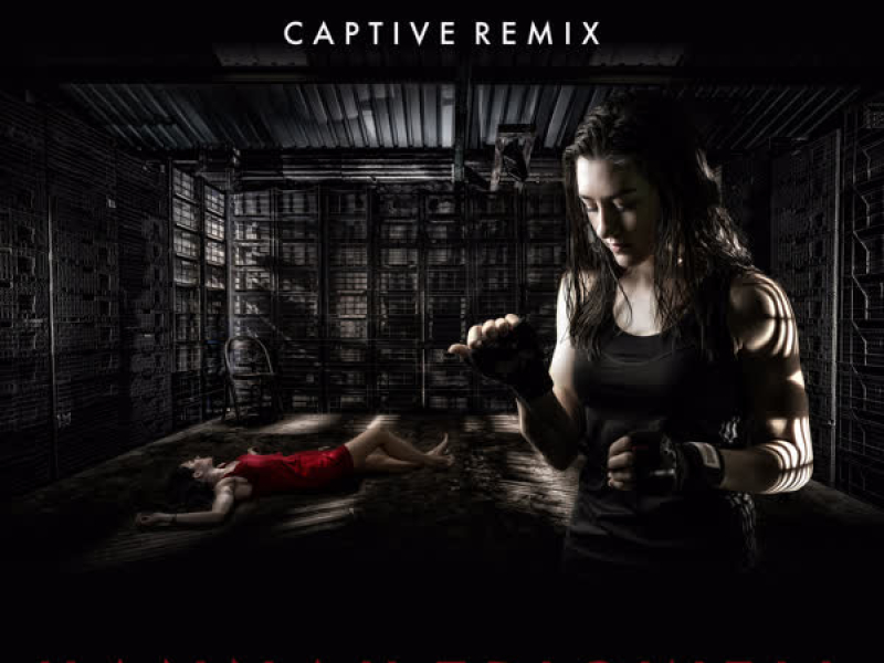 Another Beautiful Mistake (Captive Remix) (Single)