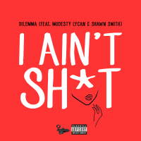 I Ain't Sh*t (Remix) (Single)