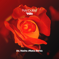 Wife (Nacho Marco Remix) (Single)