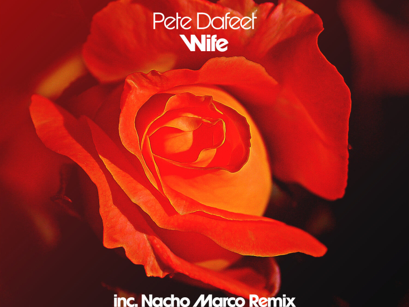 Wife (Nacho Marco Remix) (Single)